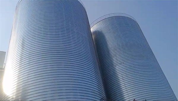 大冶2座混凝土高架卷板仓